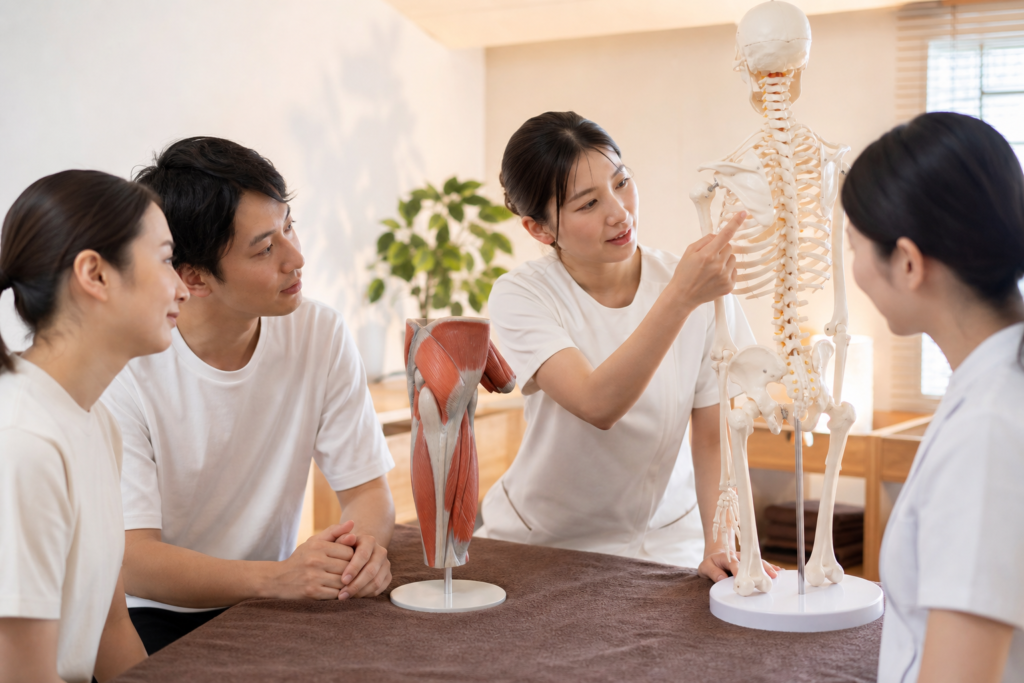 初心者が最初に覚えたい身体の基本と主要部位