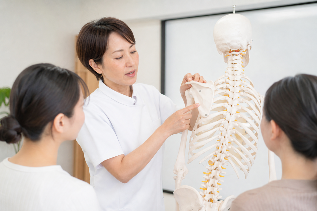 肩まわりの構造を骨、動き、筋肉の順に捉える
